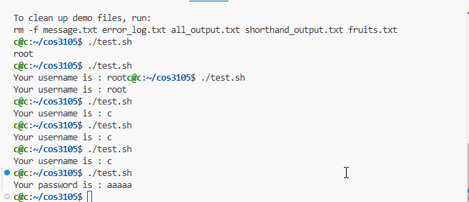 Whiptail Password dialog