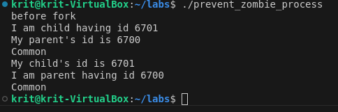 Prevent Zombie Process