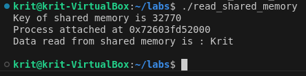 Read Shared Memory